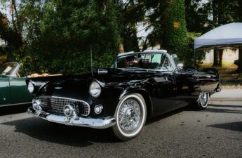 Classic 1955 Ford Thunderbird roadster convertible displayed at a vintage car show.