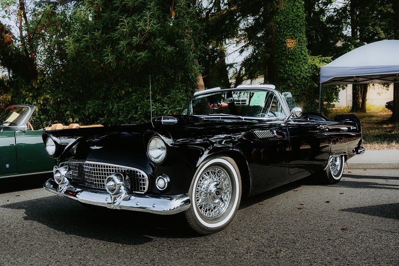 Classic 1955 Ford Thunderbird roadster convertible displayed at a vintage car show.